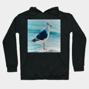 Solitary SeaGull looking into the Blue Pacific Ocean Coast Hoodie